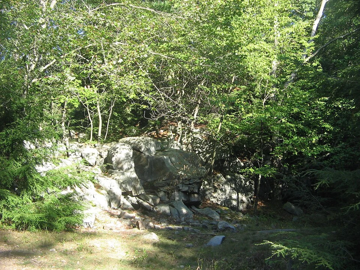 Shades of Death Trail via Sand Spring Run Creek