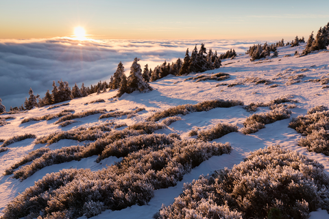 An image depicting the trail Bingham Ridge Trail and its surrounding area.