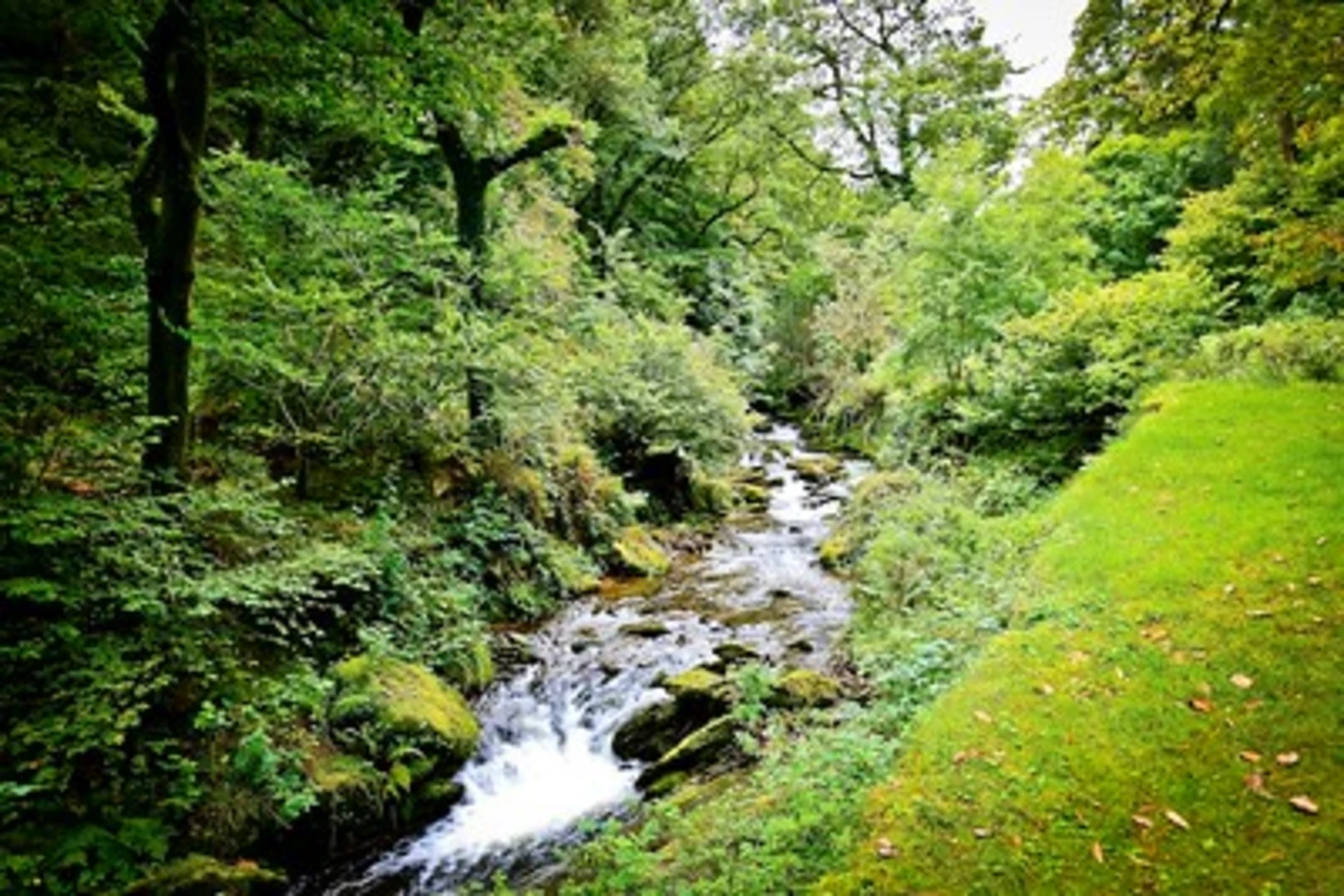 An image depicting the trail East Lyn Loop from Lynmouth and its surrounding area.