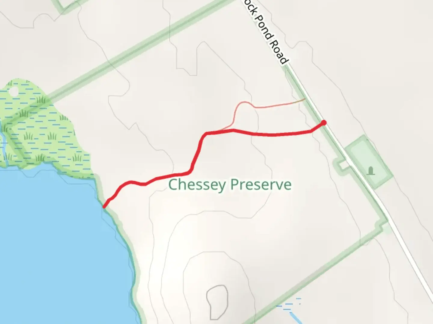 An image depicting the trail Browns Pond from Hancock Pond Road and its surrounding area.