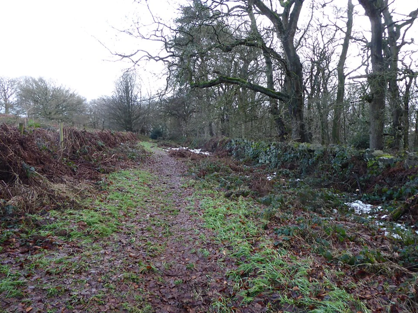 An image depicting the trail Poultney Wood Loop and its surrounding area.