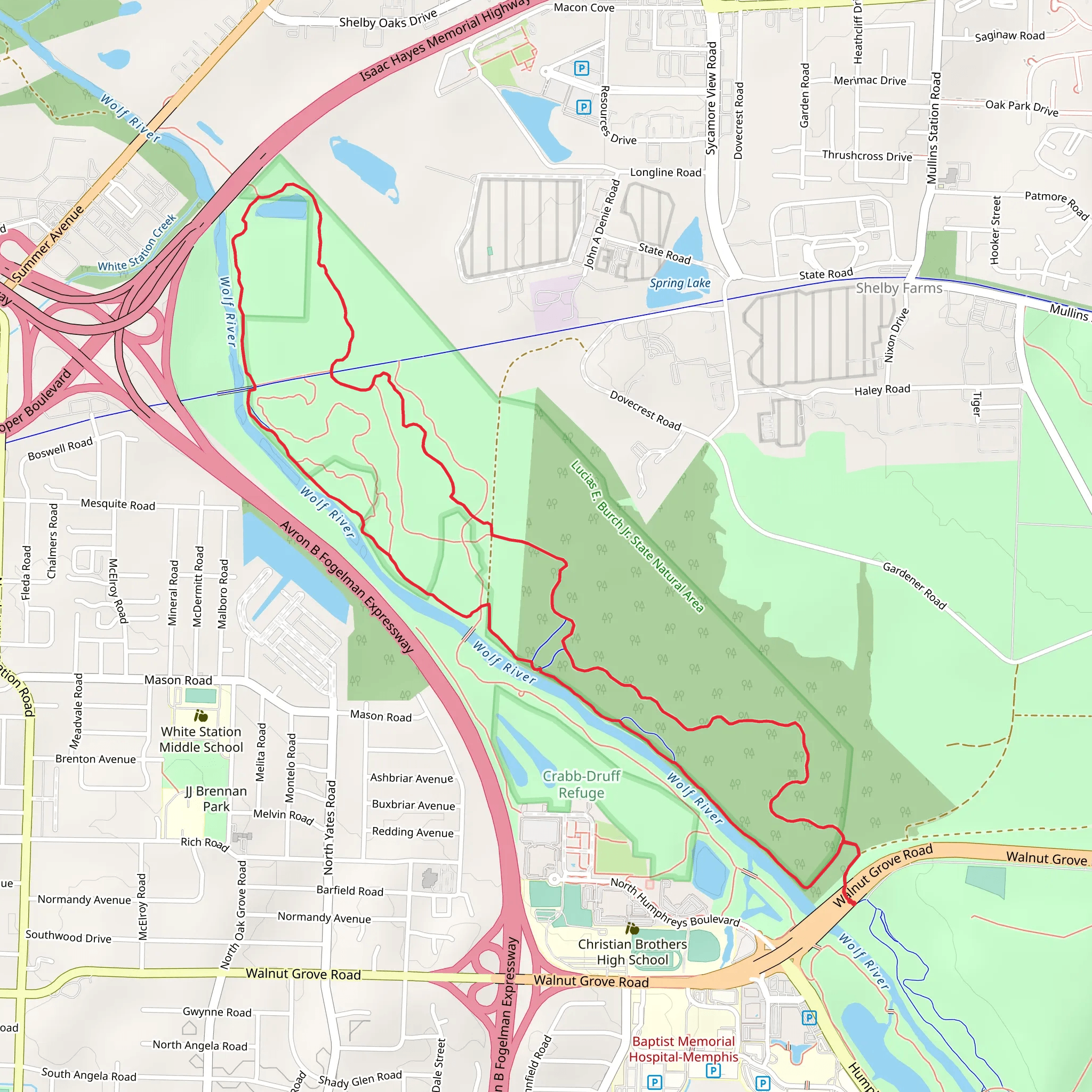 Wolf River Trail Blue and Yellow Loop Trail mobile static map