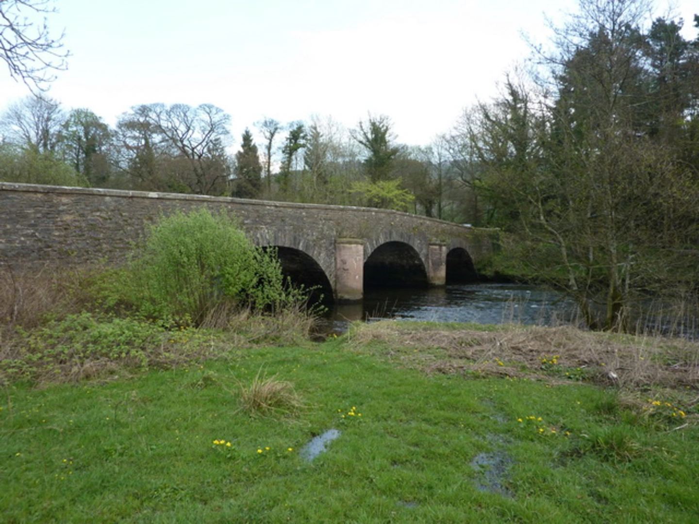 An image depicting the trail Woodhow Tarn and Low Wood Loop and its surrounding area.