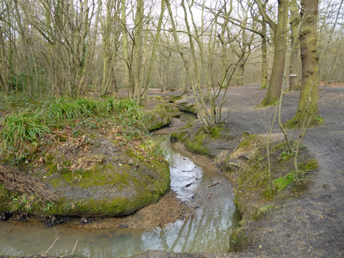 Belfairs Park and Belfairs Nature Reserve Loop