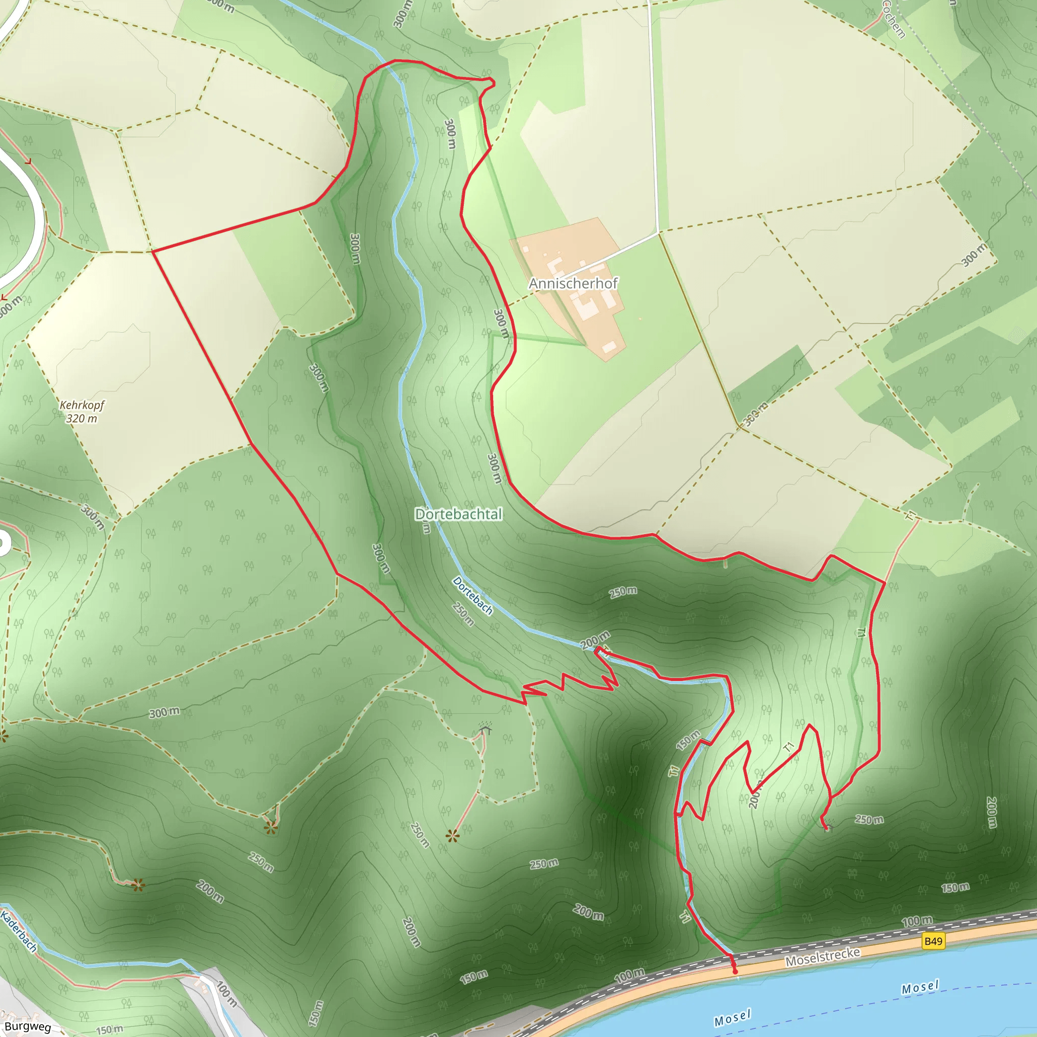 Dortebach Wasserfall, Dortebachtal and Off'm Kasteschkopp Loop via Moselsteig mobile static map