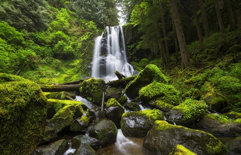 An image depicting the trail North Fork Smith River Trail and its surrounding area.