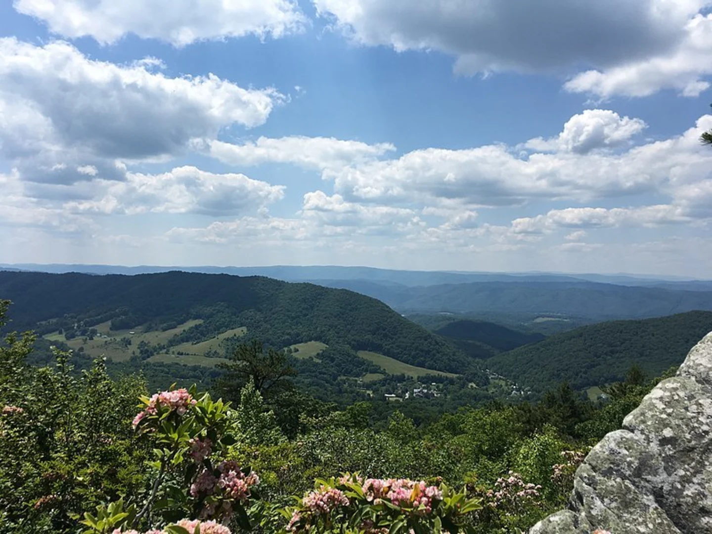 An image depicting the trail Salt Pond Ridge Trail and its surrounding area.