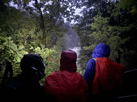 An image depicting the trail Swallow Falls Walk and its surrounding area.