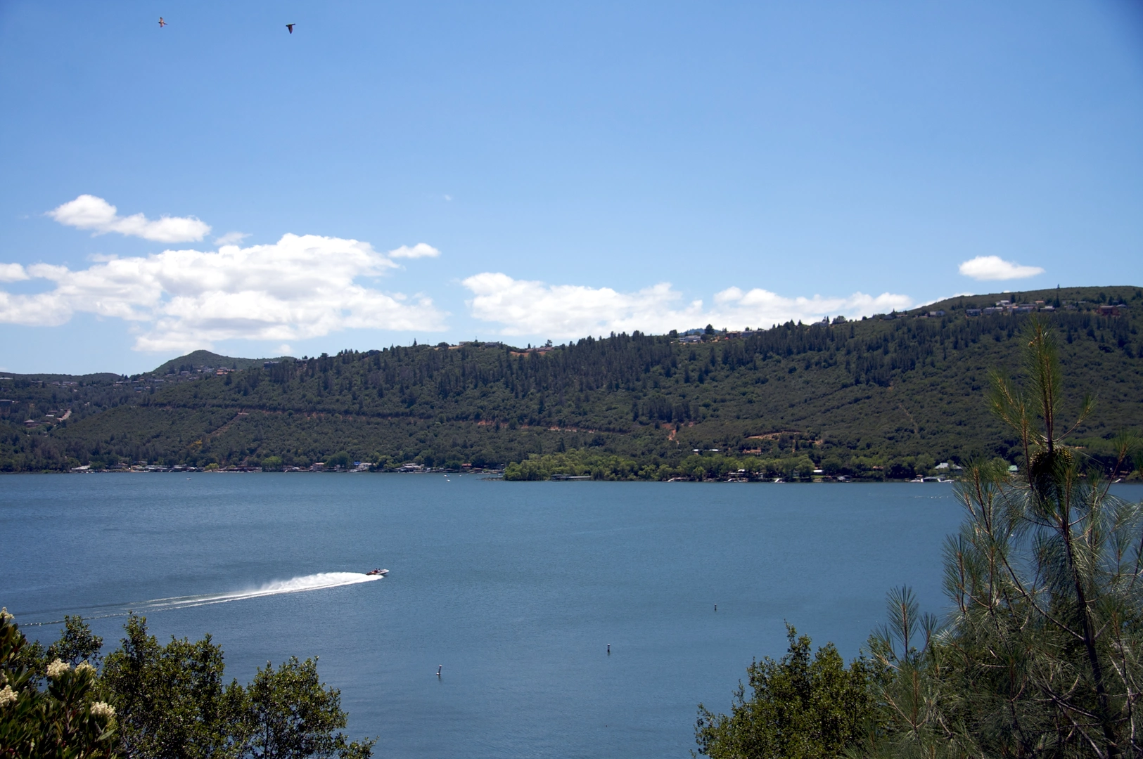 An image depicting the trail Indian Nature Loop Trail and its surrounding area.