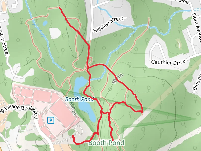 Booth Pond, Pitch Pine and Vista Loop Trail