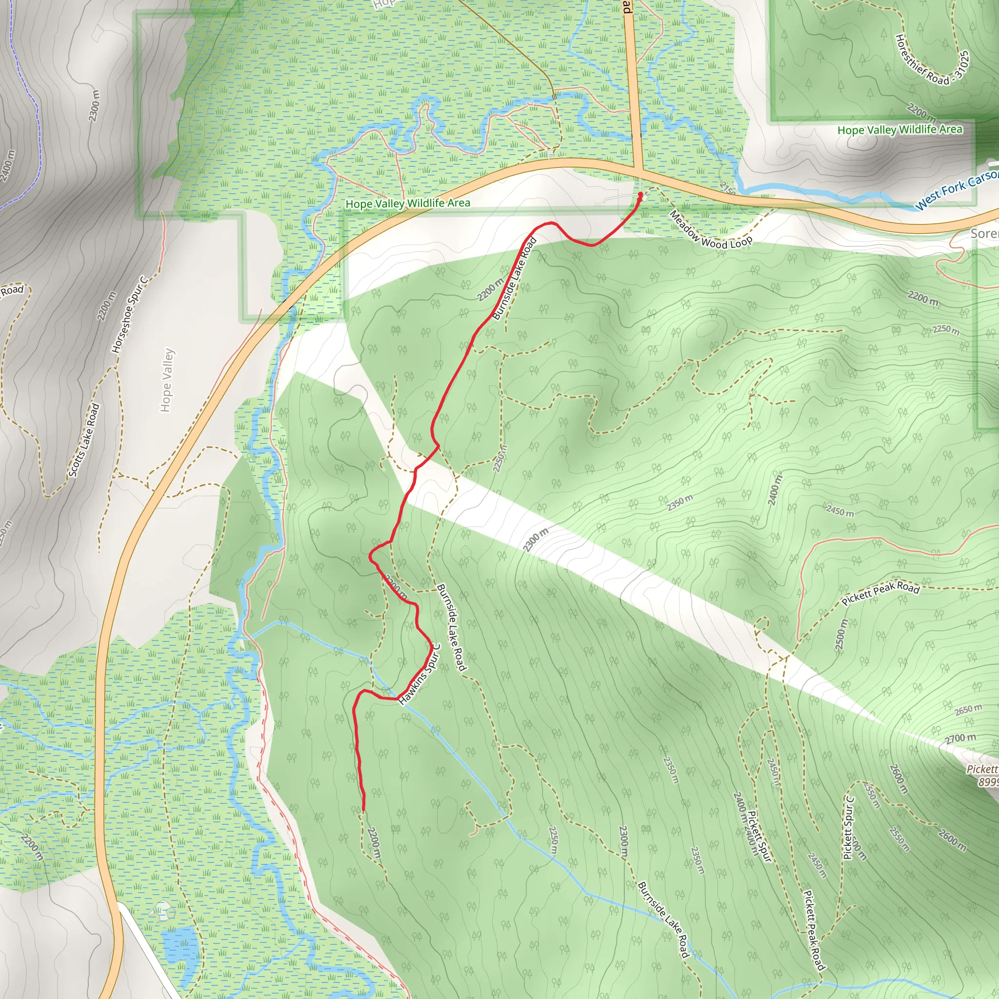 Burnside Lake Road mobile static map