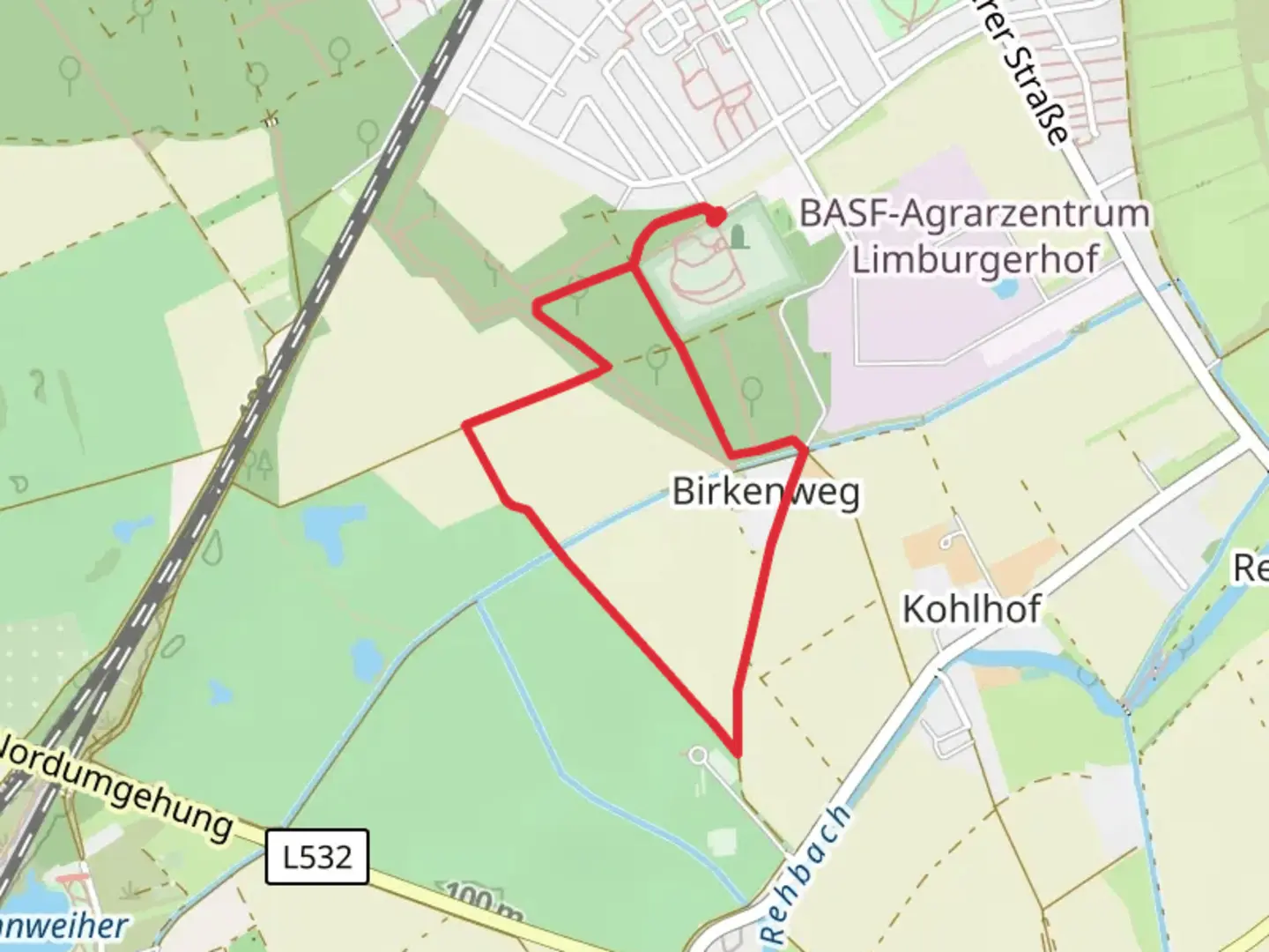 An image depicting the trail Birkenweg Loop and its surrounding area.