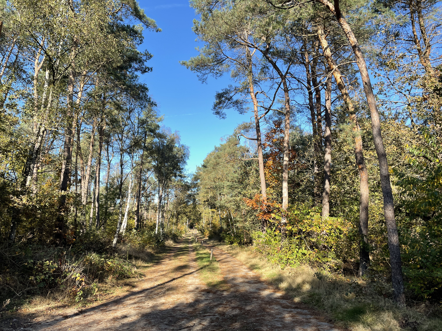 An image depicting the trail Reefhuis Weg and WNW Twente - Hankate Egede Loop and its surrounding area.