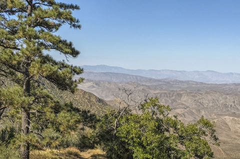 An image depicting the trail Wooded Hill Nature Loop Trail and its surrounding area.
