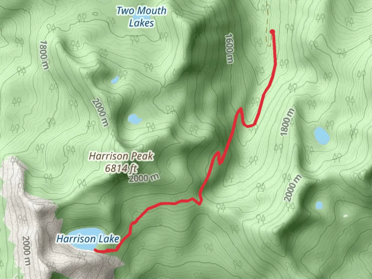 An image depicting the trail Harrison Lake Out and Back and its surrounding area.