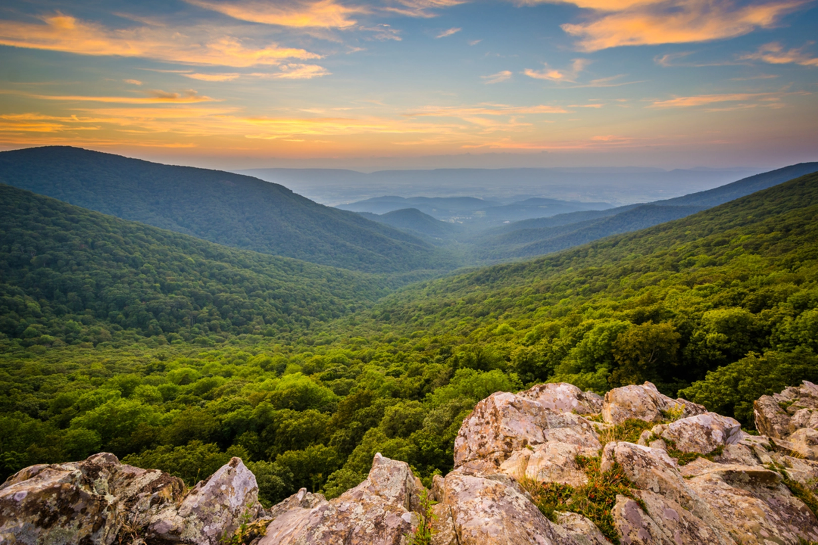 An image depicting the trail Crescent Rock Overlook via Crescent Rock Trail and Limberlost Trail and its surrounding area.