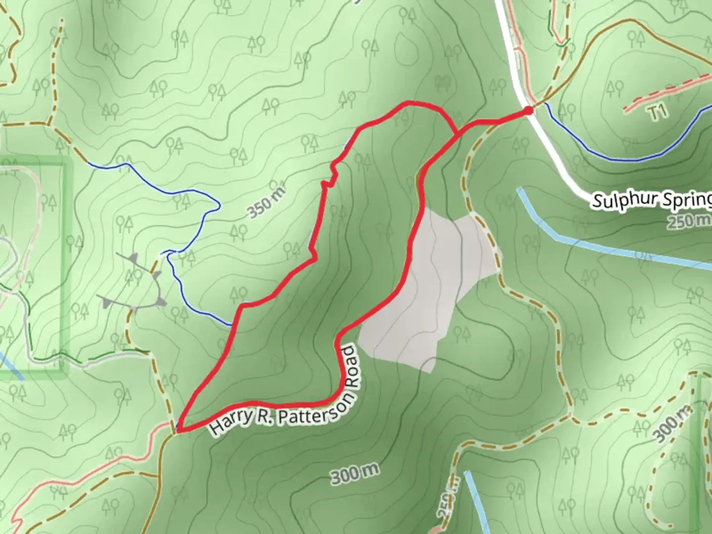 An image depicting the trail Harry H Patterson Road and Ridge Loop Trail and its surrounding area.
