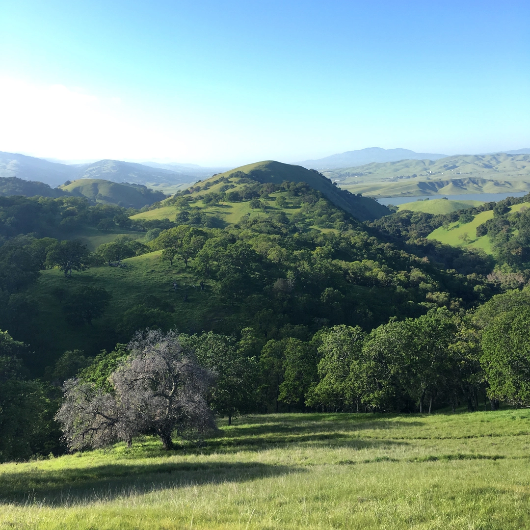 An image depicting the trail Maguire Peaks Loop and its surrounding area.