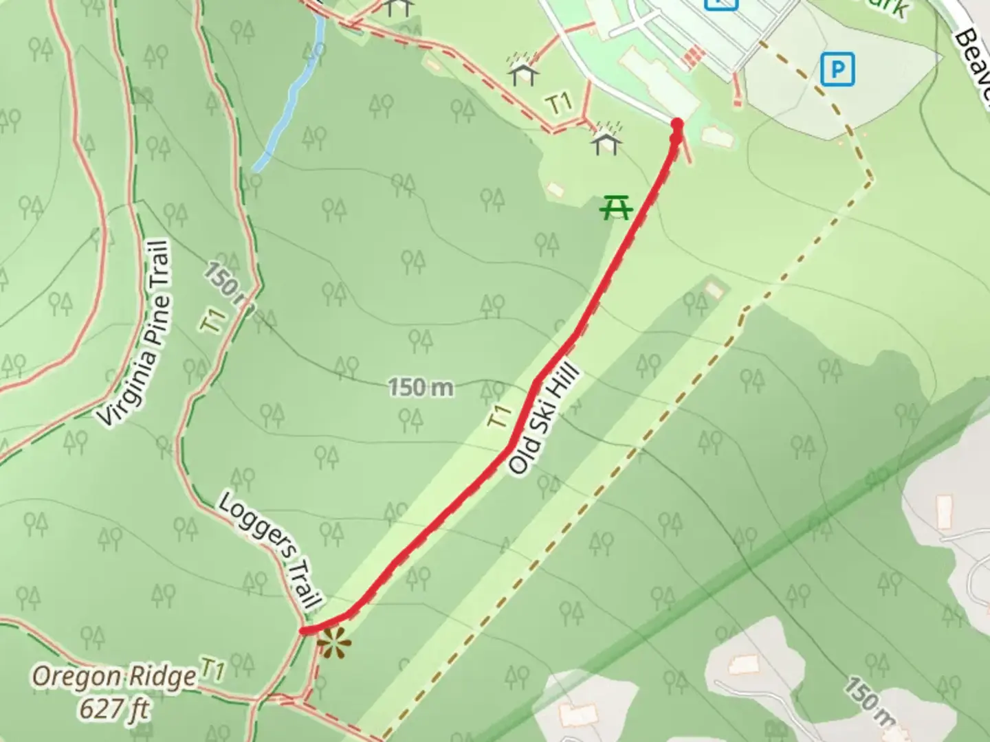 An image depicting the trail Old Ski Hill and its surrounding area.