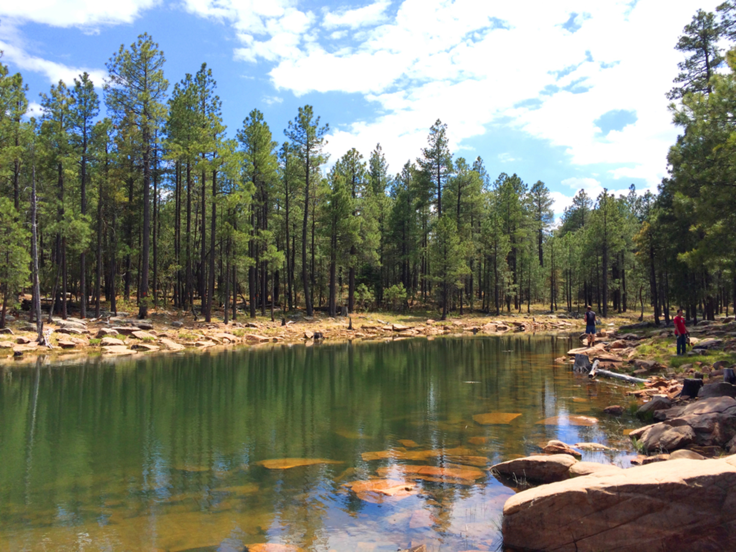 An image depicting the trail Willow Springs Loop Trail and its surrounding area.
