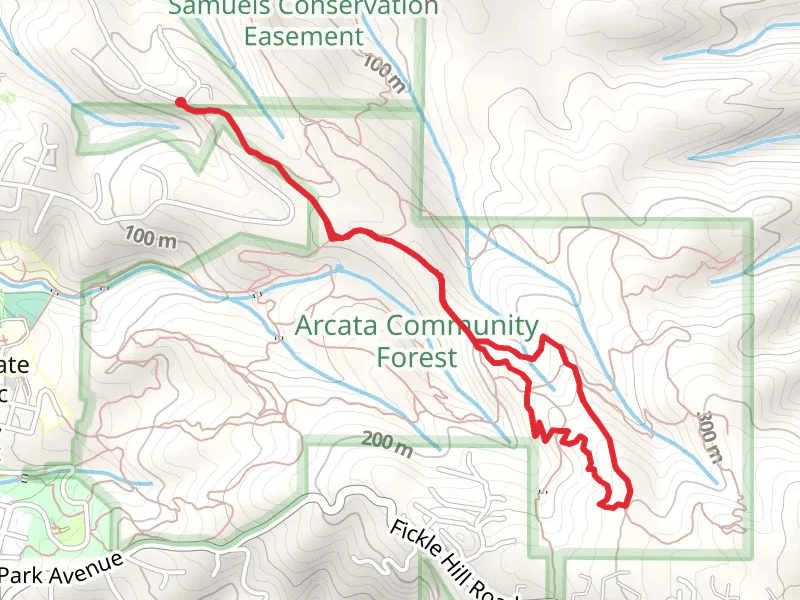 California Trail and Ridge Loop Single Track