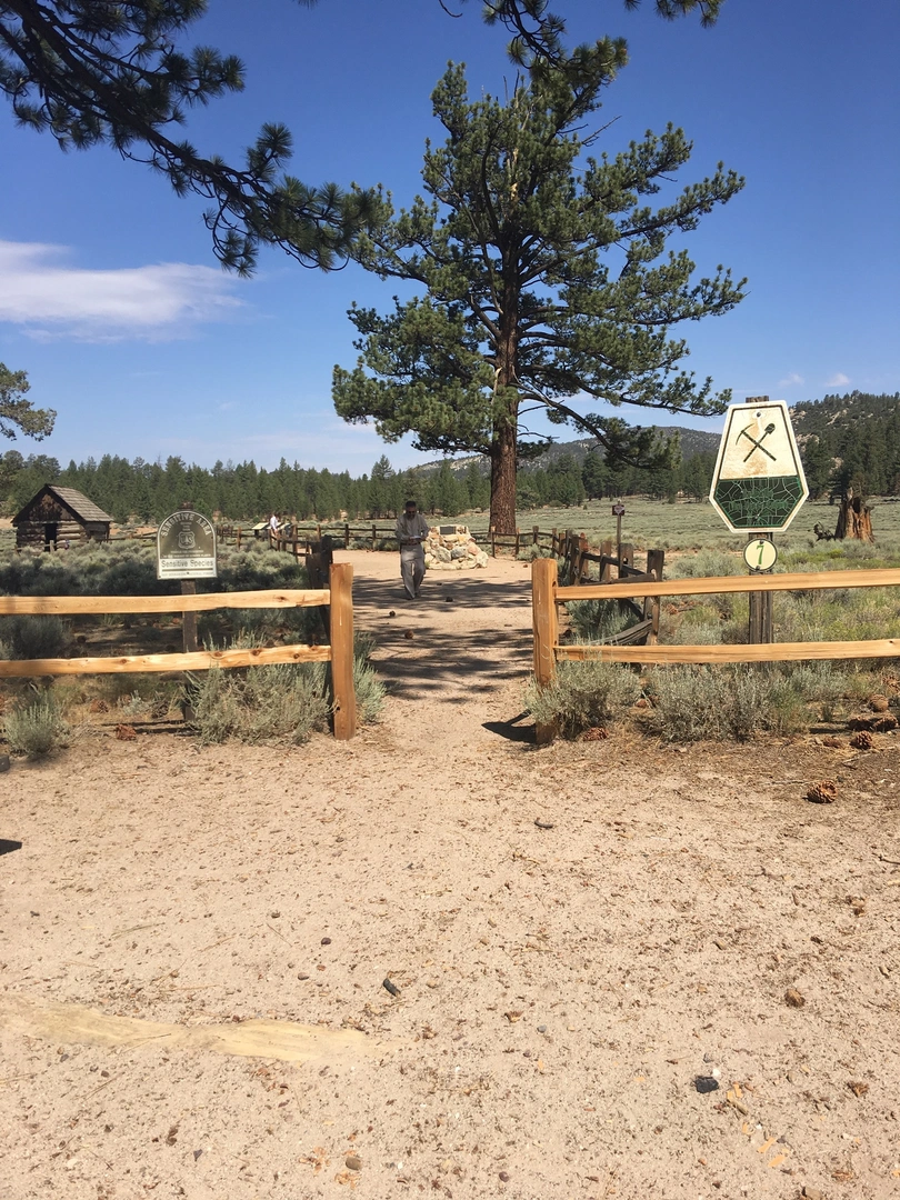 An image depicting the trail Holcomb Creek Loop and its surrounding area.