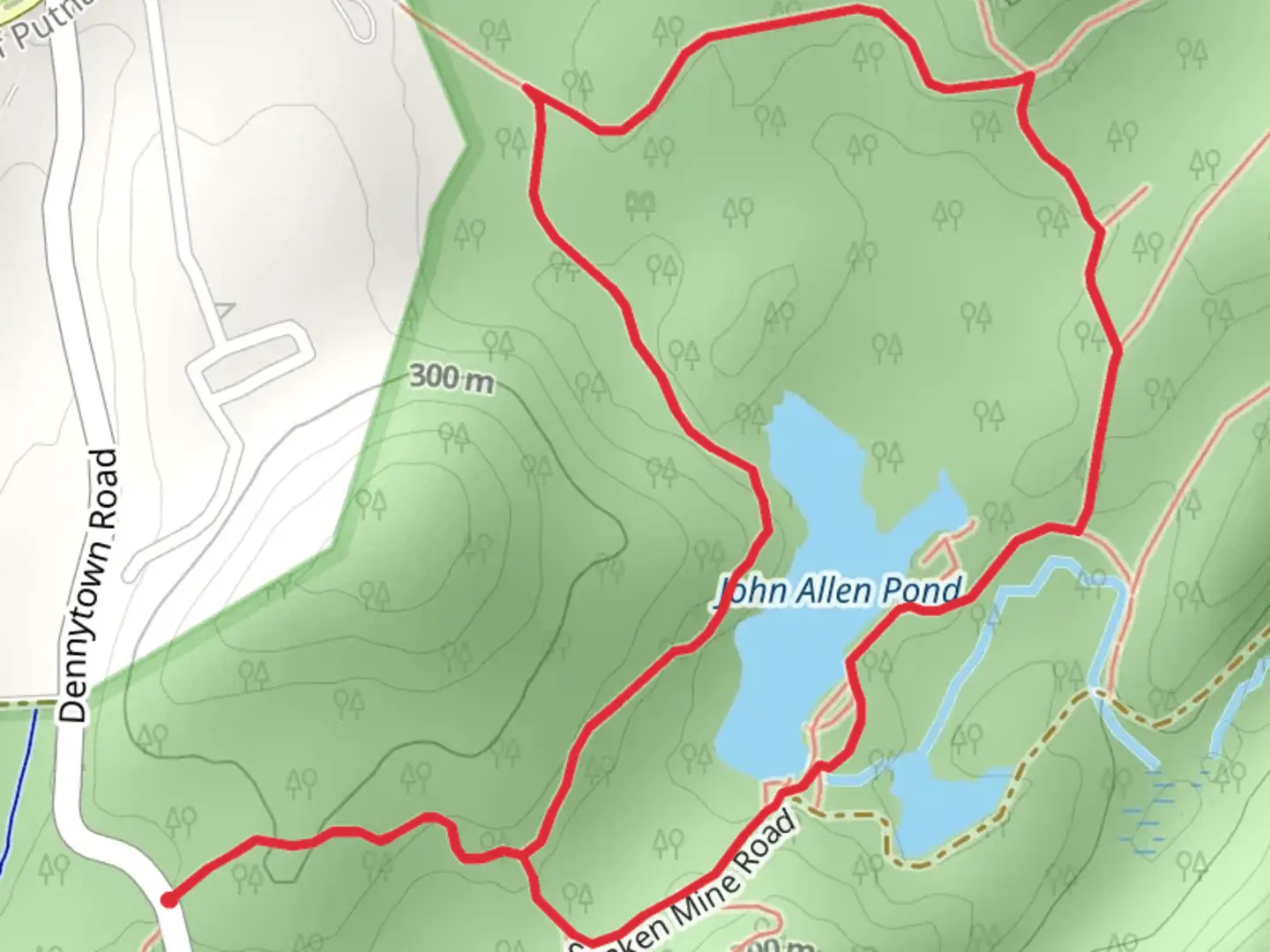 An image depicting the trail John Allen Pond Loop Trail and its surrounding area.
