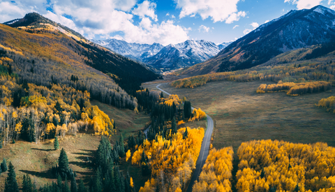 An image depicting the trail Markley Hut Road Trail and its surrounding area.