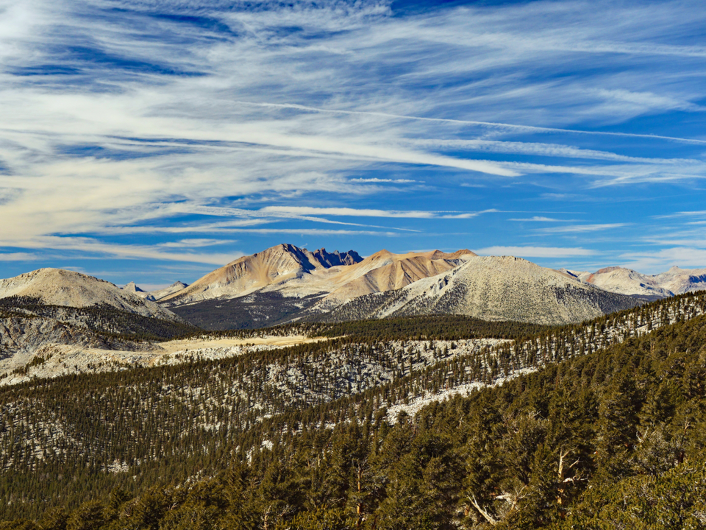 An image depicting the trail Barigan Stringer Lake via Theodore Solomons Trail and its surrounding area.