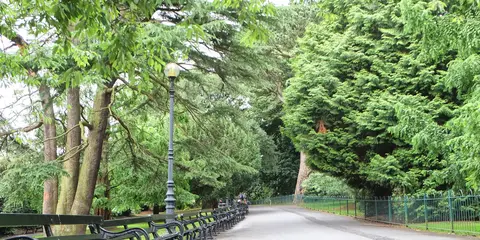 An image depicting the trail Botanic Gardens and its surrounding area.