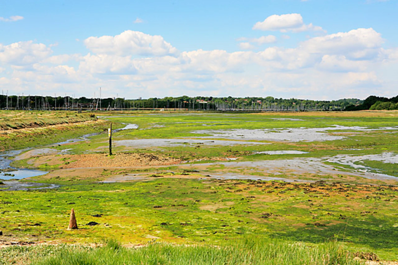 An image depicting the trail Warsash Coastal Path and River Hamble Walk - Bursledon and its surrounding area.