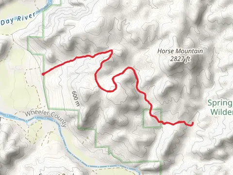 Spring Basin Wilderness Trail