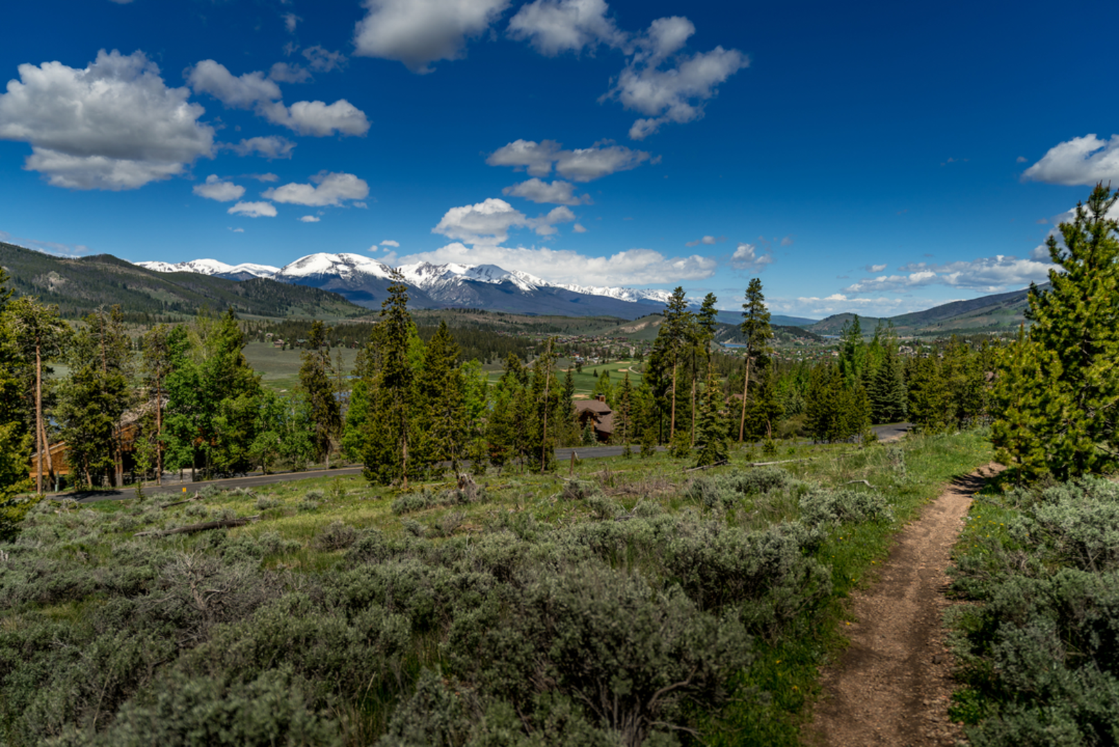 An image depicting the trail Bookcase Trail and its surrounding area.