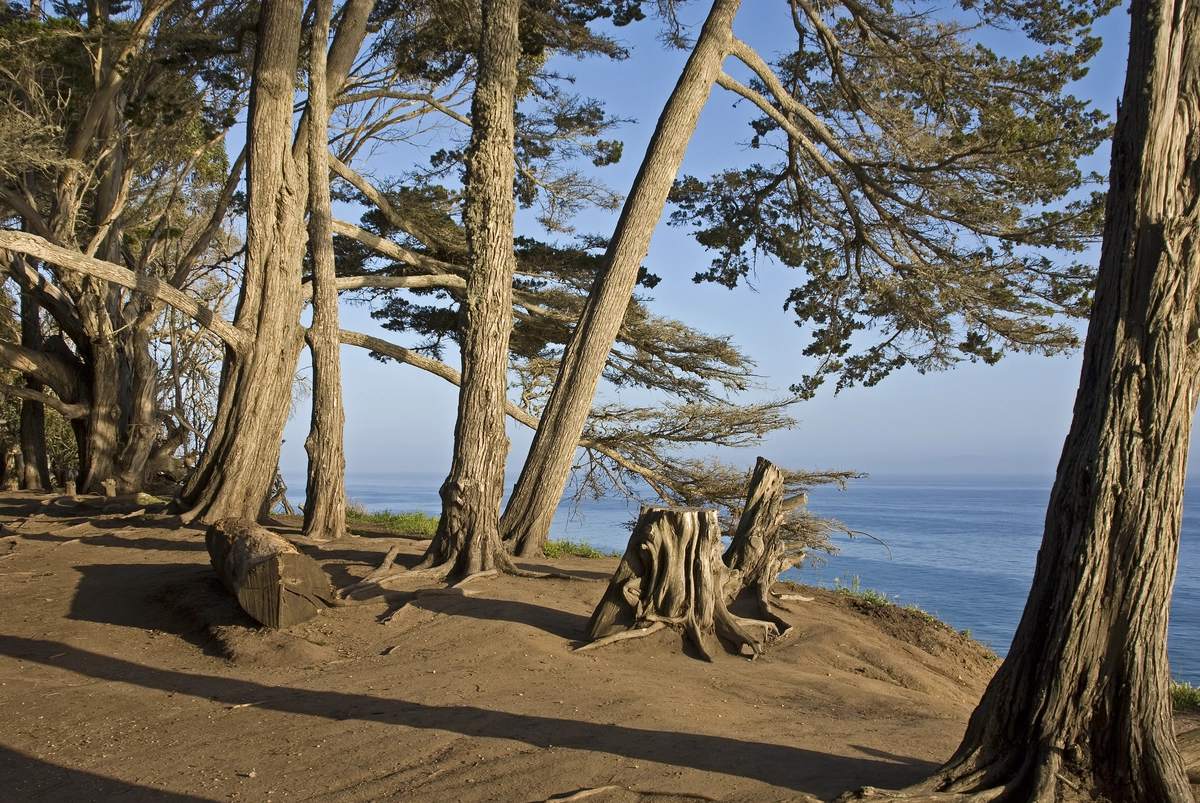 Douglas Family Preserve Loop