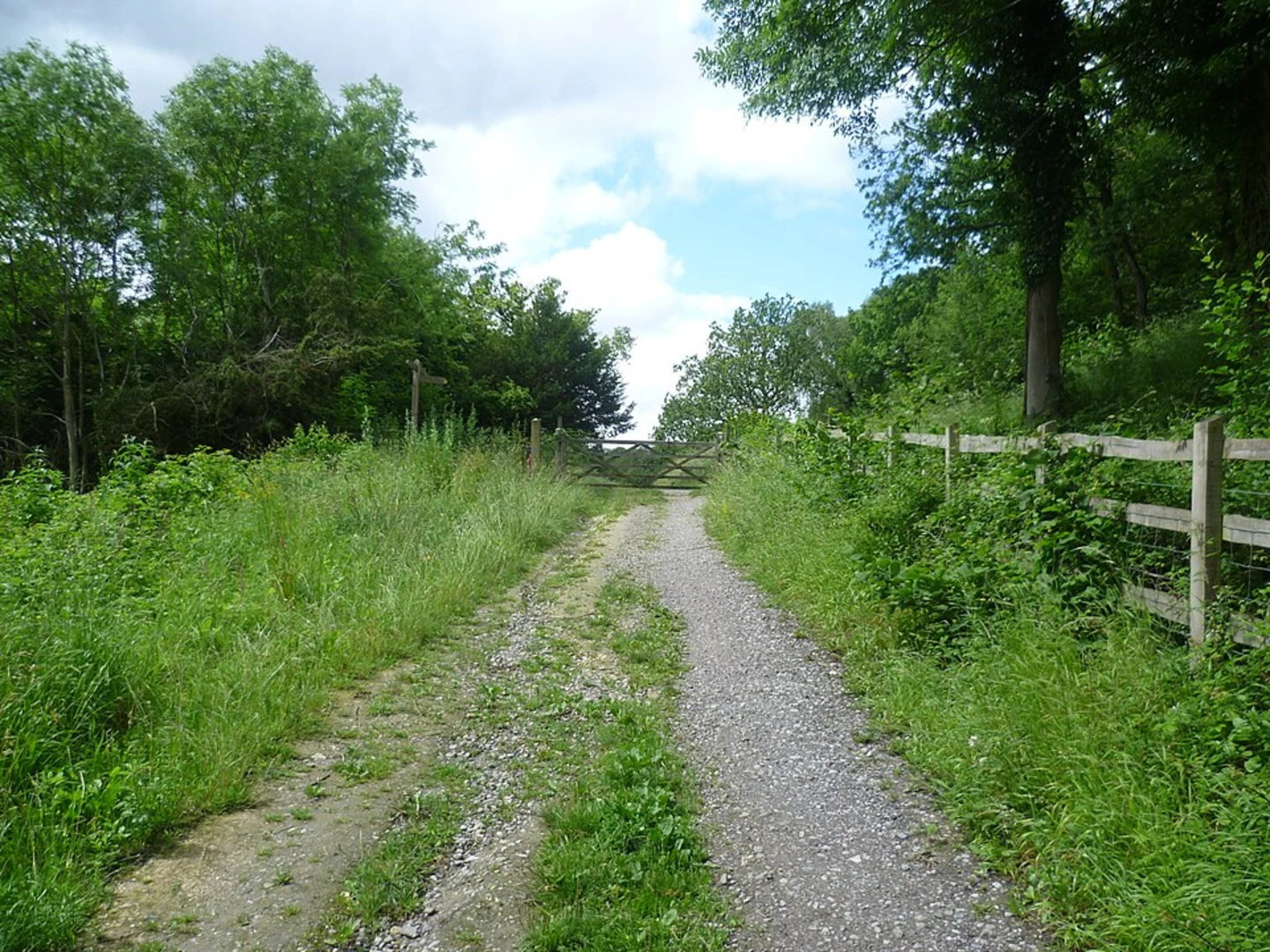 An image depicting the trail Kenley to Westerham Walk and its surrounding area.