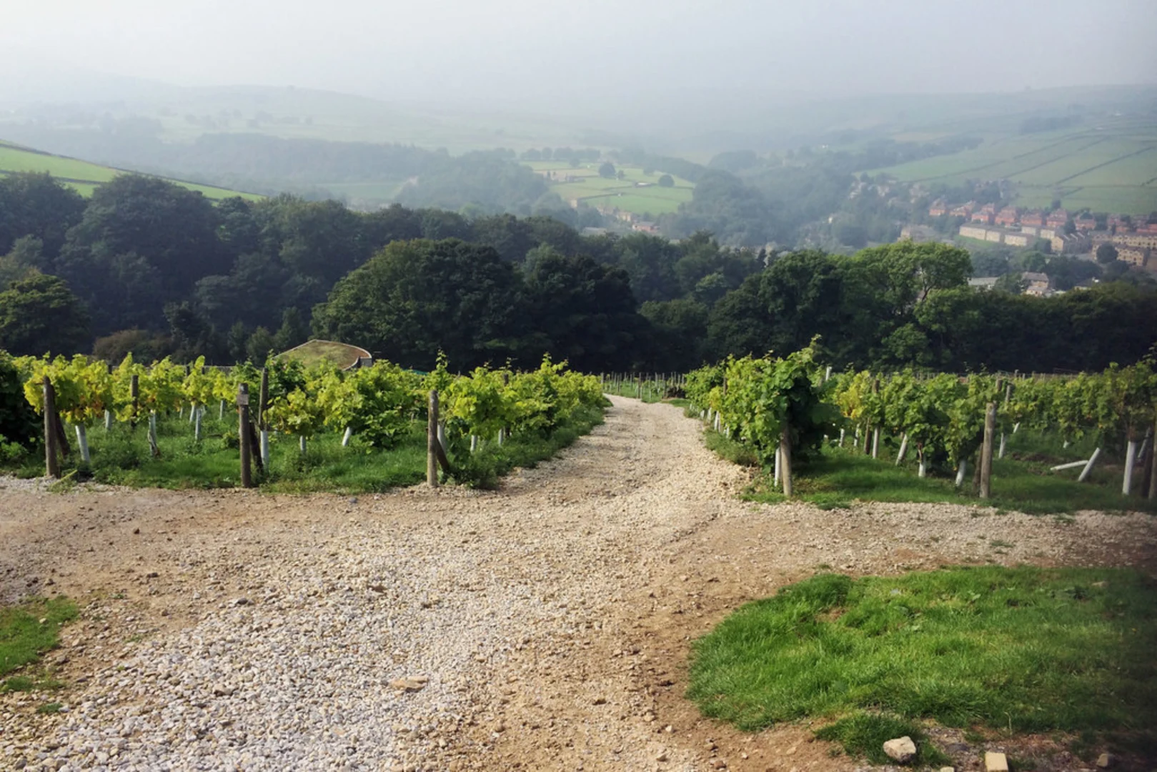 An image depicting the trail Holme Valley Loop from Holmfirth and its surrounding area.