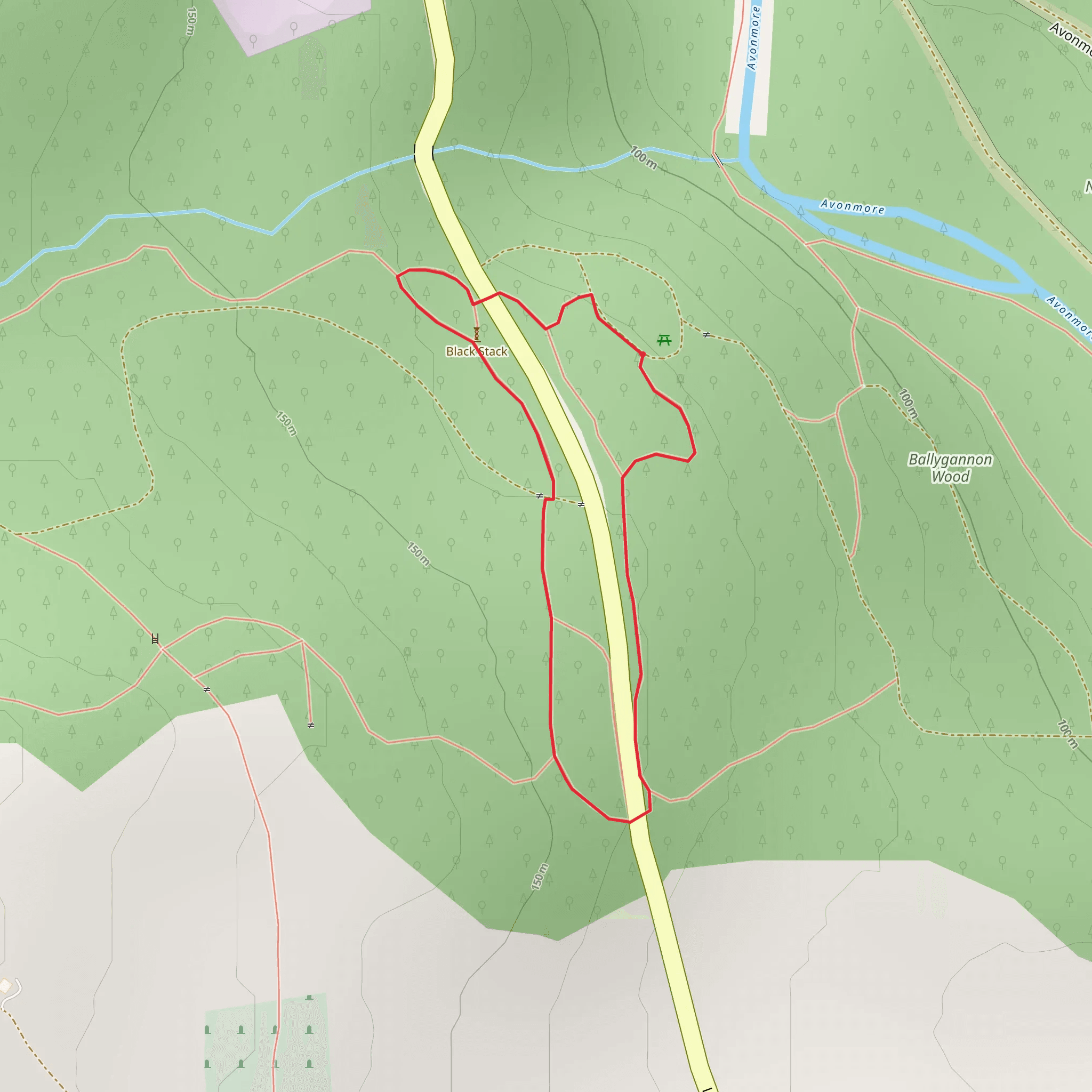 Ballygannon - Green Walk mobile static map