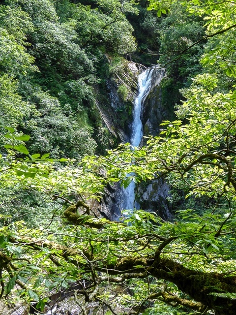 Devil's Bridge Falls Walk