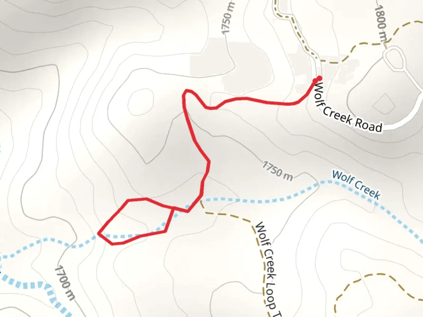 An image depicting the trail Wolf Creek Loop Walk and its surrounding area.