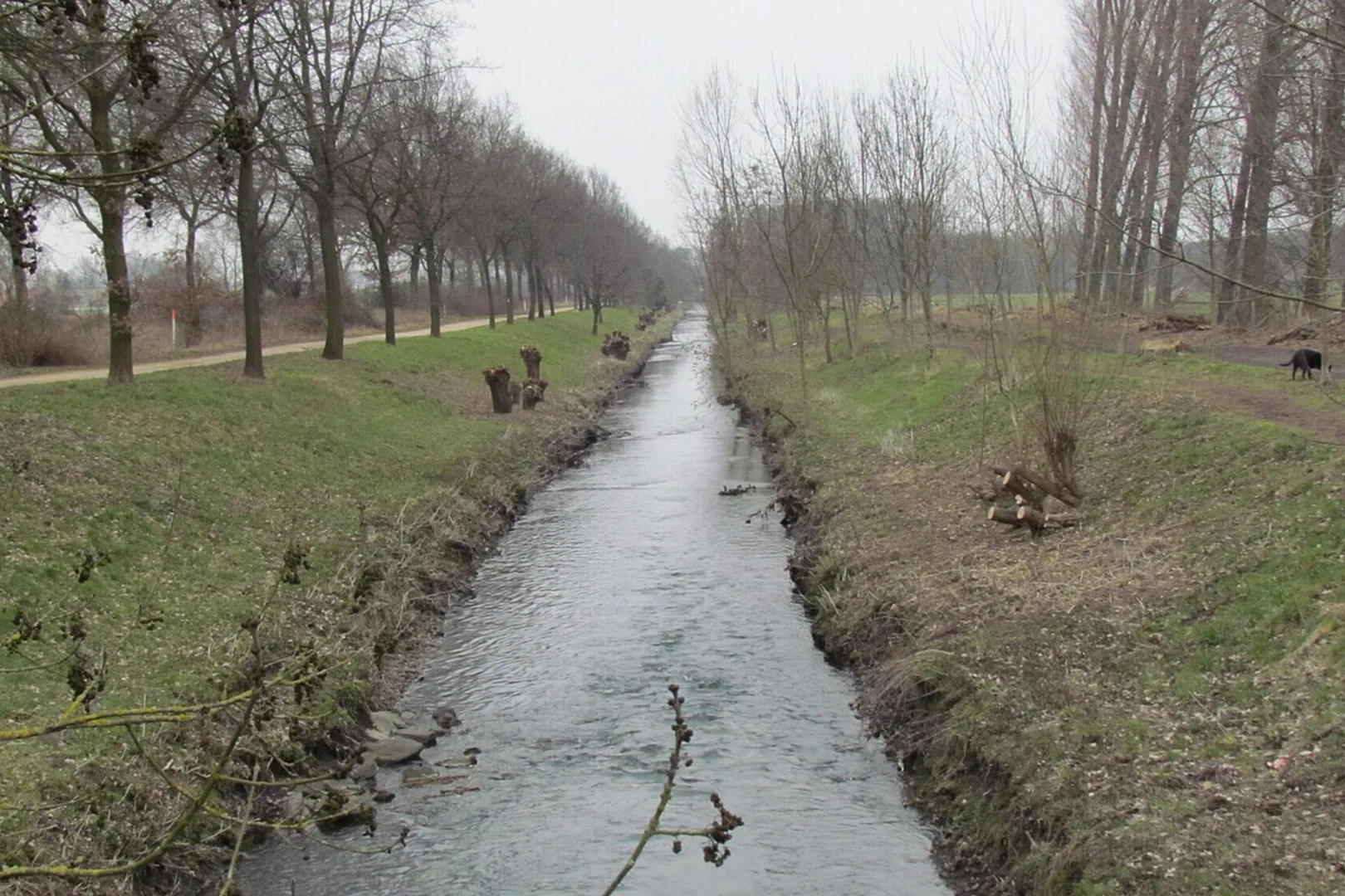 An image depicting the trail Voggenhof, Ebnisee and Strumpfelbachtal Loop and its surrounding area.