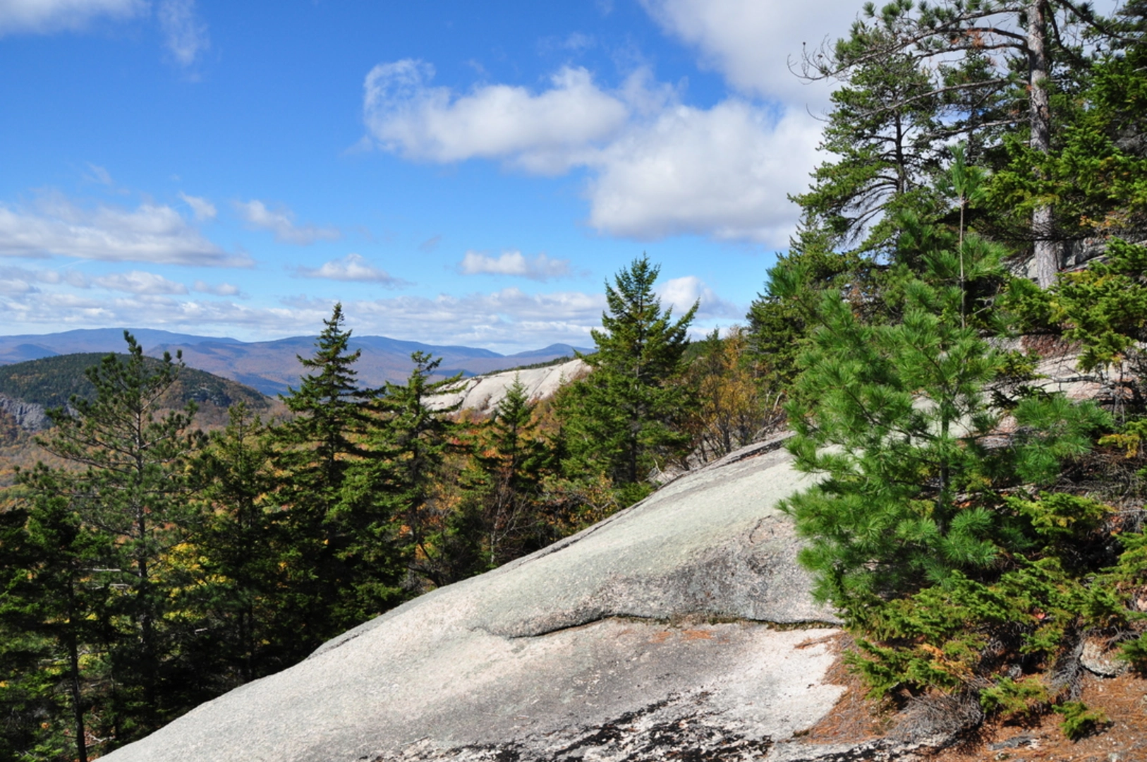 An image depicting the trail Fletcher's Cascade Trail and its surrounding area.