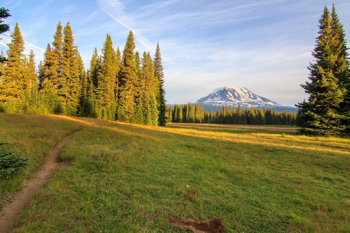 Gotchen Creek Trail