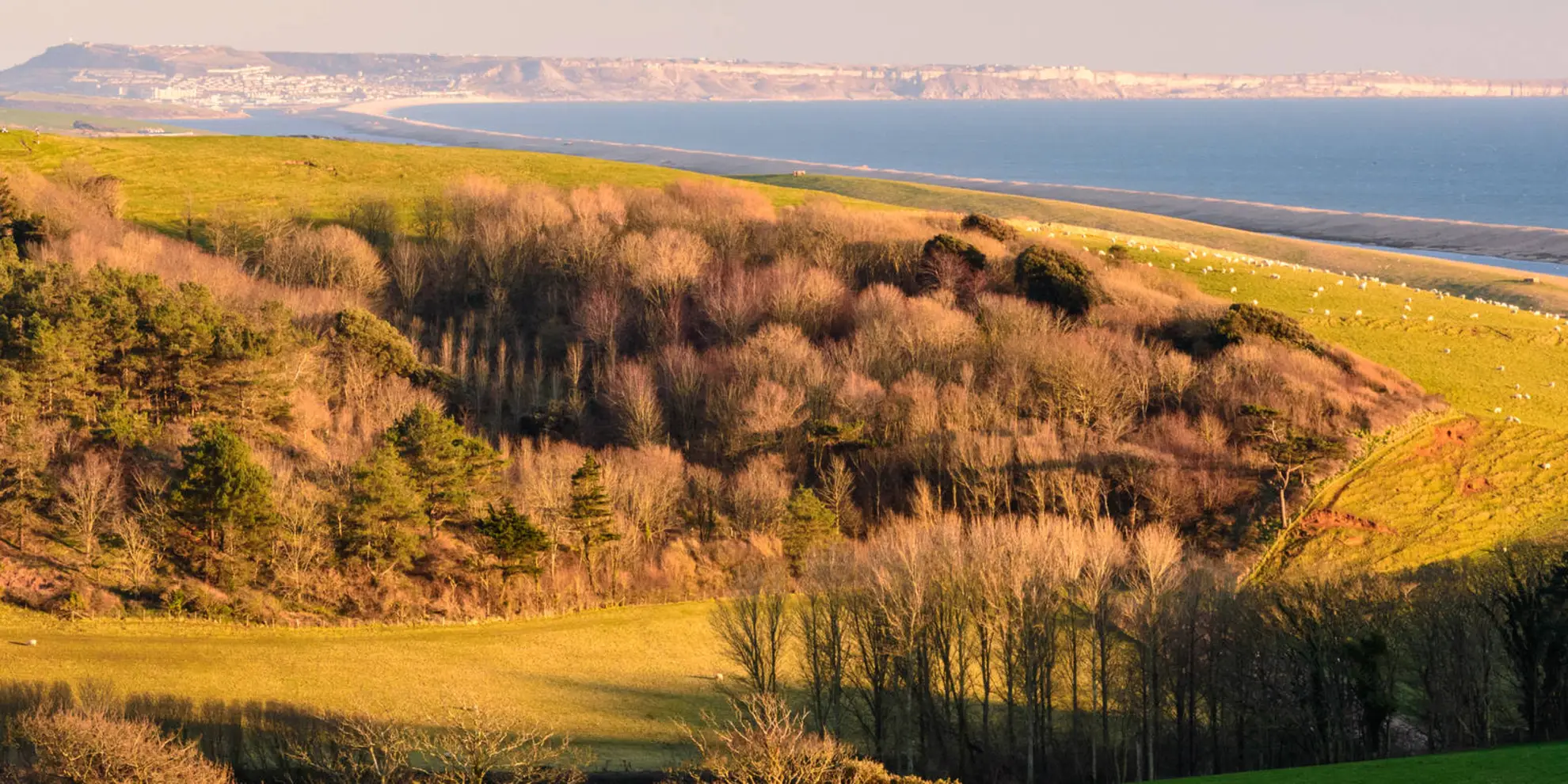 An image depicting the trail Abbotsbury from Sea Barn and West Fleet Farms and its surrounding area.