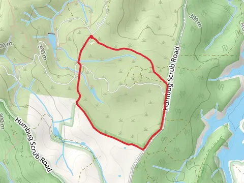 Tree Creeper Loop Track