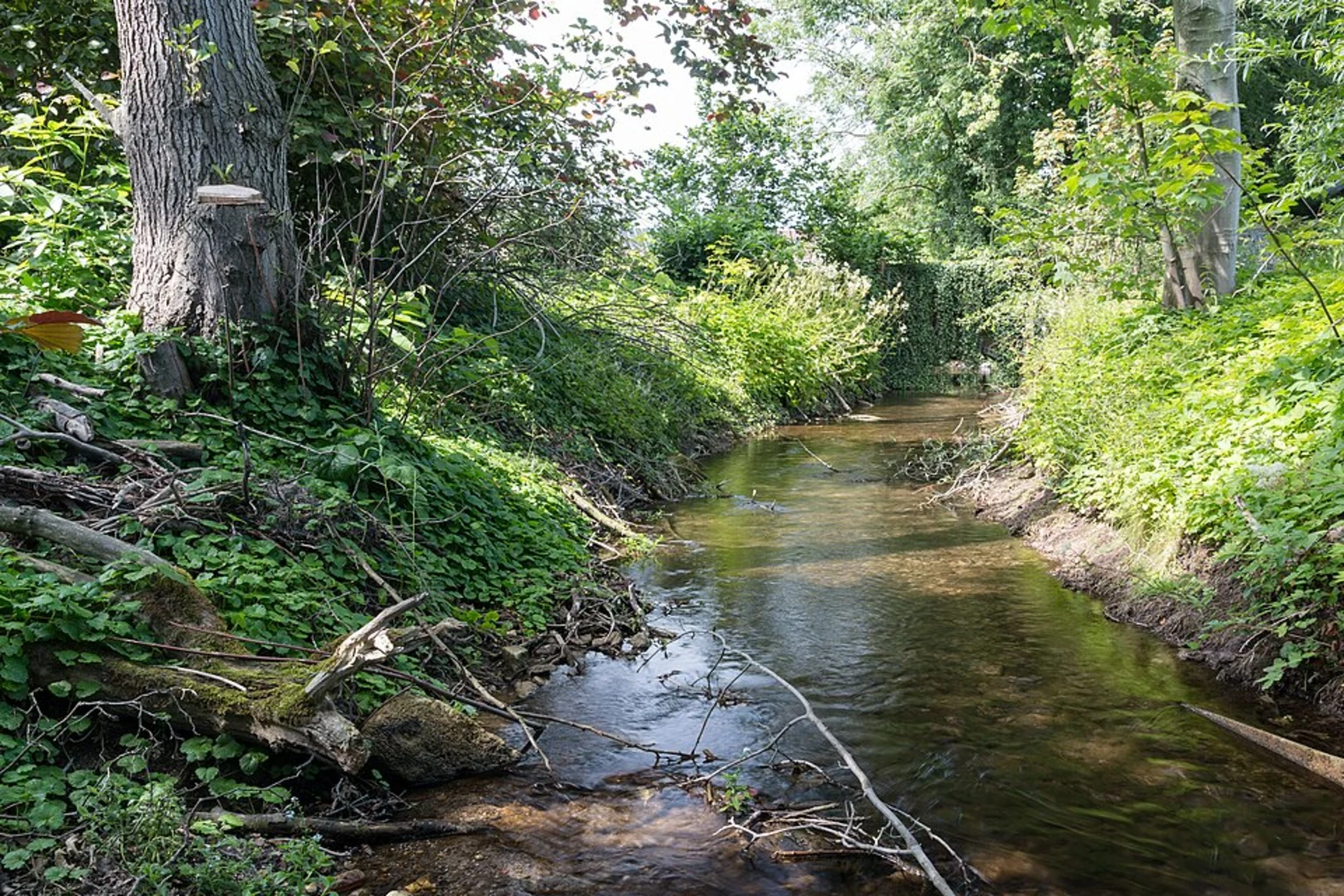 An image depicting the trail Stever via Hohe Mark Steig and its surrounding area.