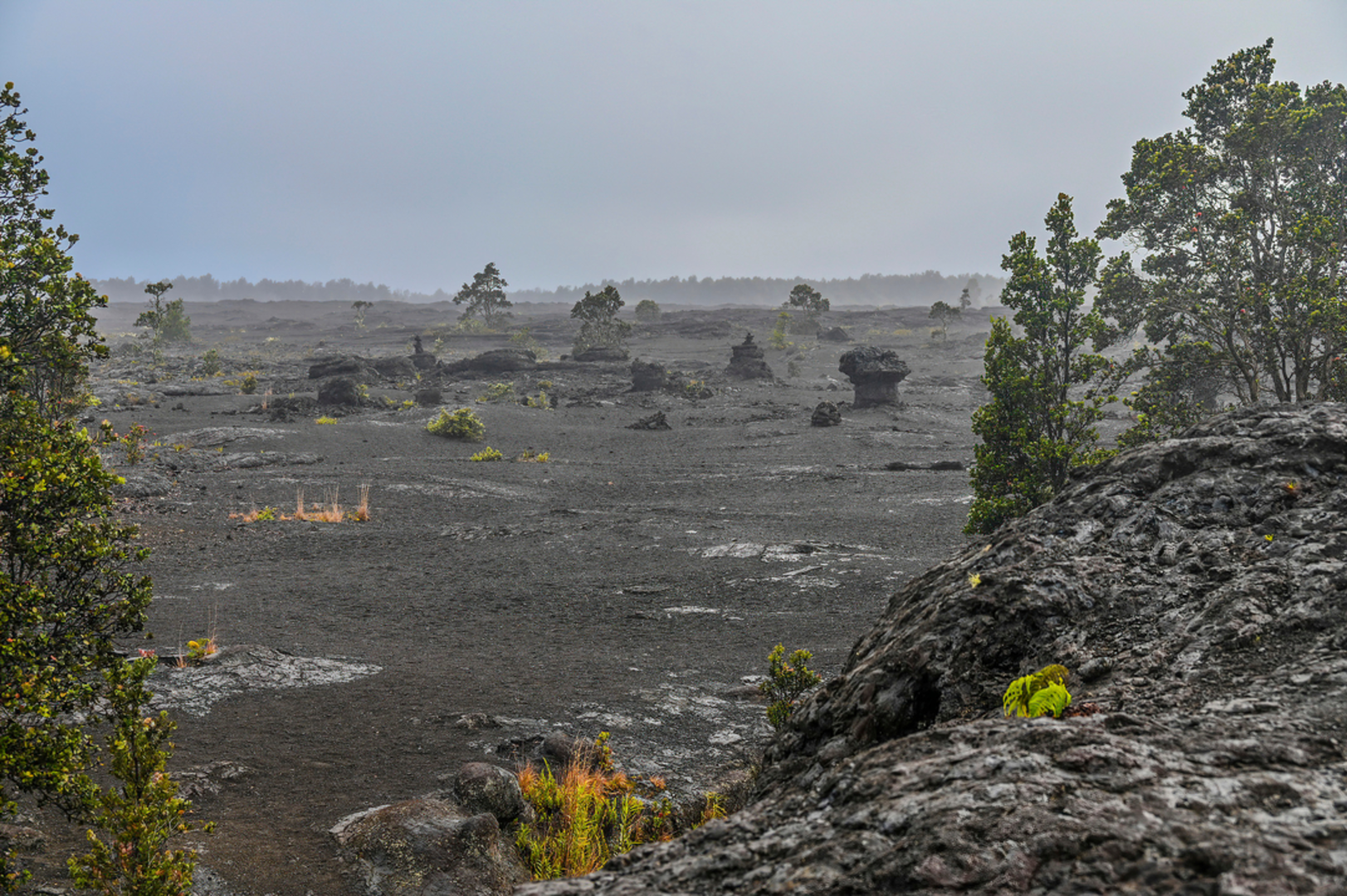 An image depicting the trail Napau Crater via Napau Trail and its surrounding area.