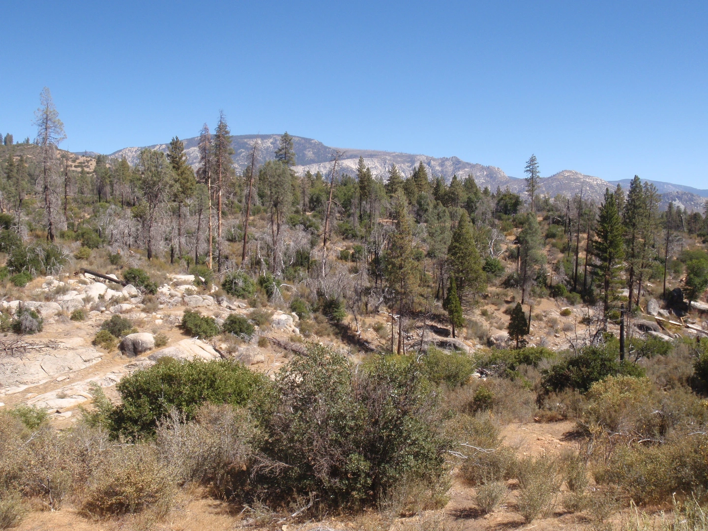 An image depicting the trail Kern River Upper, Rincon and Sherman Pass Road Loop Trail and its surrounding area.