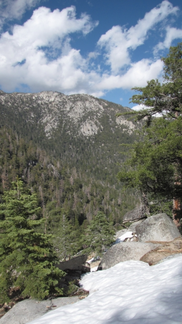 An image depicting the trail Climbers Trail and its surrounding area.
