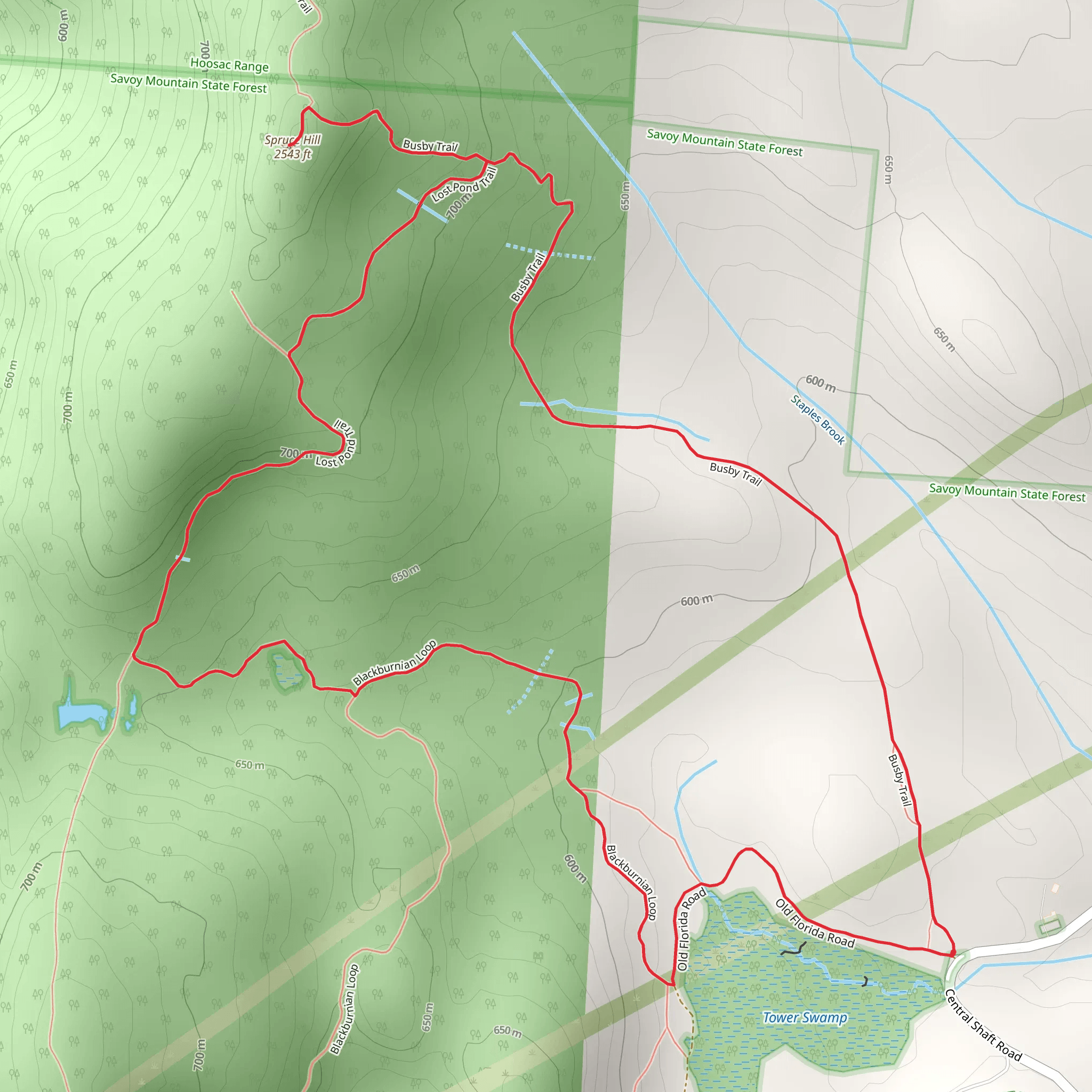 Spruce Hill Loop via Busby Trail mobile static map