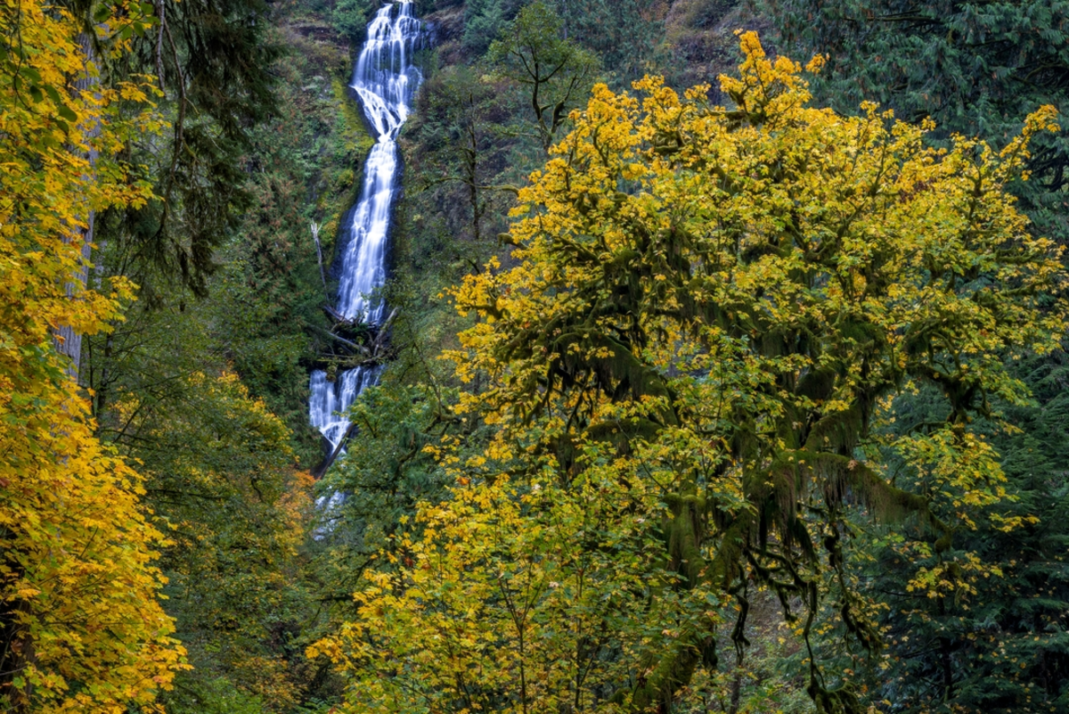 Munson Creek Falls Trail